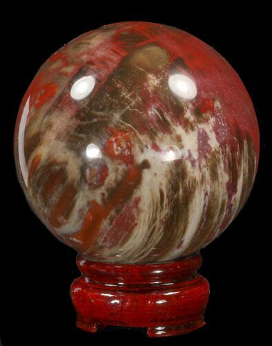 Colorful Petrified Wood Sphere #41931
